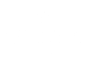 This is a white version of our company logo